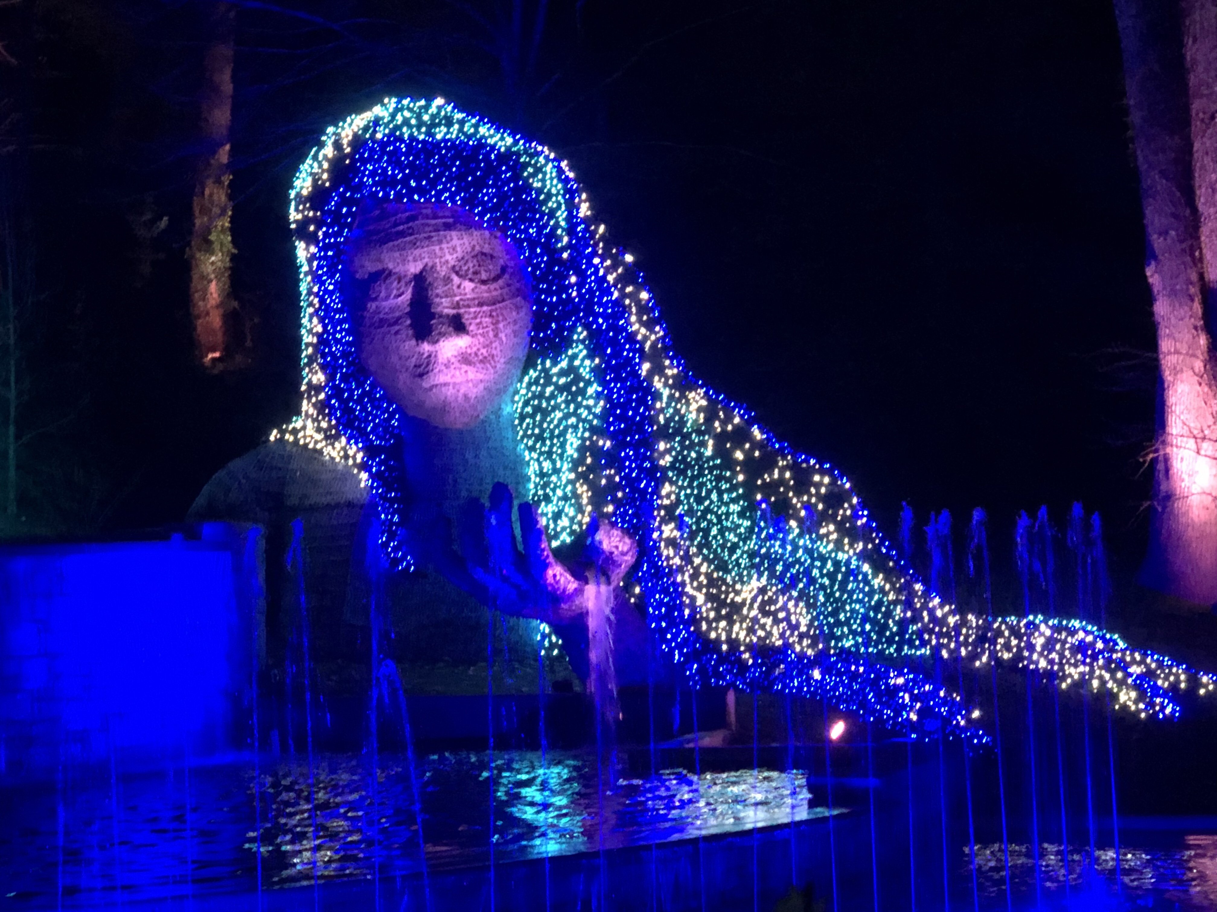 Holiday Lights - Atlanta Botanical Gardens » IN THE LOOP